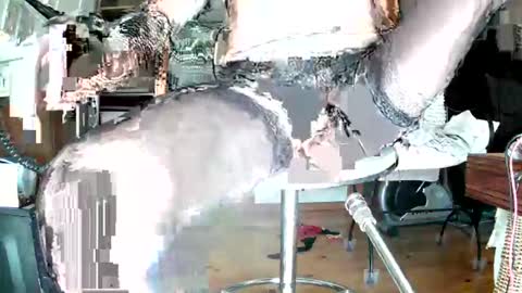 maschpro online show from November 9, 10:41 am