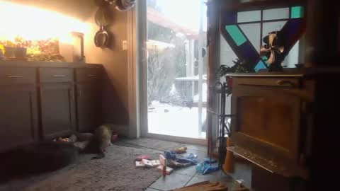 The Big Duurty online show from February 15, 2:22 pm