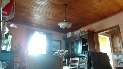 Maurice online show from March 9, 9:03 pm