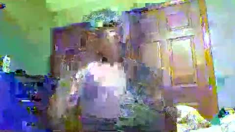 mauricescott online show from February 19, 12:32 am