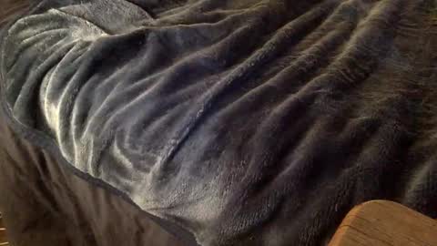 Snapshot of mauriciano2018 chatting on October 9, 3:56 am Ignacio online show from October 9, 3:56 am