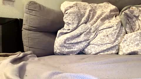 maximemax14 online show from January 9, 8:47 pm