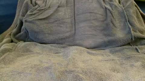 maximready3 online show from March 17, 9:47 am