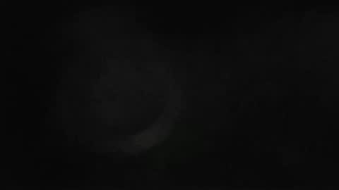 Max online show from February 18, 11:00 am