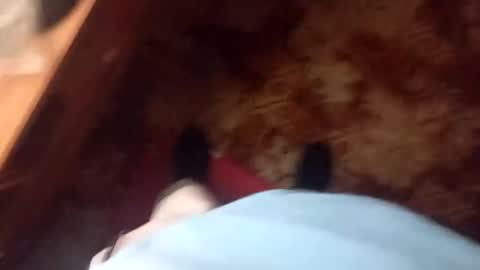 mazlicek1987 online show from December 16, 5:03 am