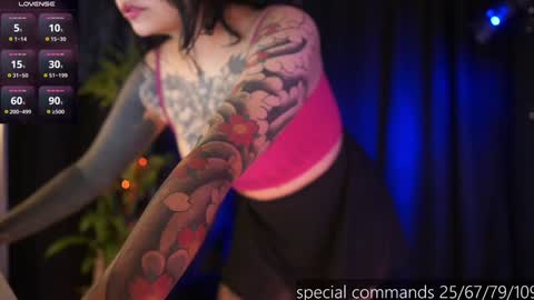 Snapshot of megan_evaans chatting on December 29, 6:27 pm welcome guys   please  help me to reach 100 hands up Thanks  online show from December 29, 6:27 pm