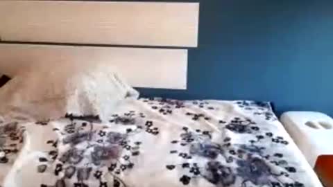 mery3881 online show from September 11, 3:46 pm