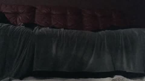 methorny online show from February 1, 7:57 am