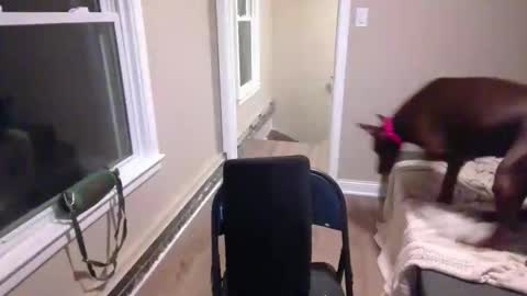 miamak online show from December 20, 2:07 am