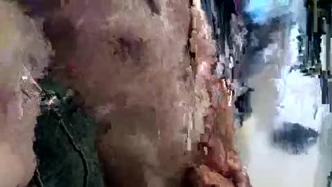 mickavis1975 online show from April 3, 3:30 pm