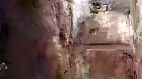 mickavis1975 online show from December 22, 10:49 pm