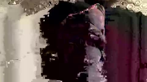 mike2597 online show from January 7, 3:44 am