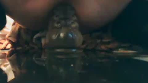 Snapshot of mikkkiz chatting on October 5, 2:13 pm Bescior online show from October 5, 2:13 pm