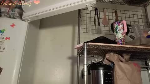 milkedmilf online show from January 10, 4:07 am