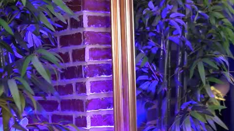 Milla online show from November 16, 6:59 am