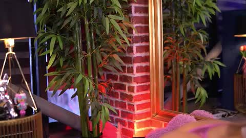 Milla online show from December 3, 6:25 am