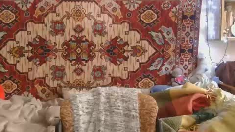 Elis online show from March 13, 12:41 pm