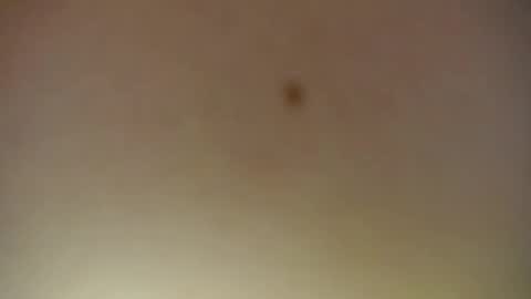 lilieth  online show from October 11, 7:28 pm