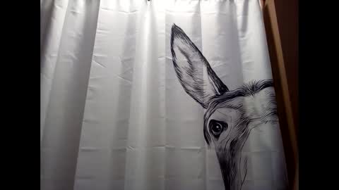 MissEeva online show from December 19, 6:23 pm