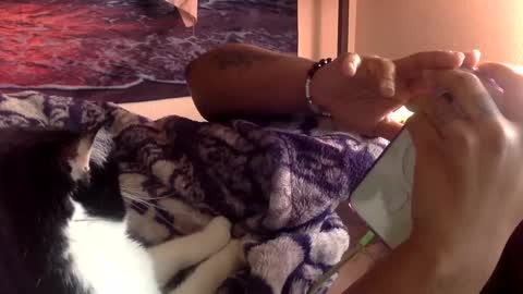 Mistress Mystii online show from February 18, 8:47 pm