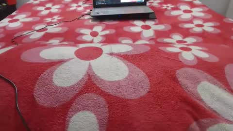 Molly And Brad online show from December 19, 1:23 am