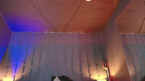 Morgana online show from January 21, 1:29 am