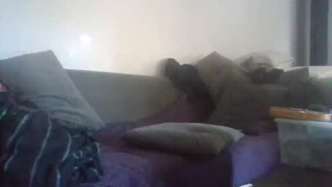 Nikola online show from September 22, 7:01 am