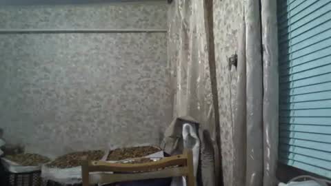 mrlike2020 online show from December 3, 8:53 pm