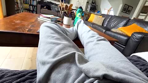 mrnymphoxo online show from June 7, 10:48 pm
