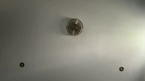 mrpapigrande online show from October 19, 9:14 am