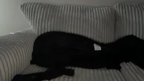 Mr Ryan Voss online show from December 30, 10:01 pm