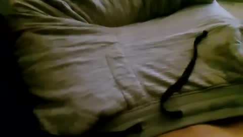 mslabwc95 online show from October 7, 7:04 am