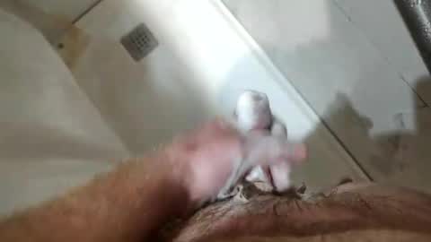 mugglesmuggler online show from March 20, 10:42 am