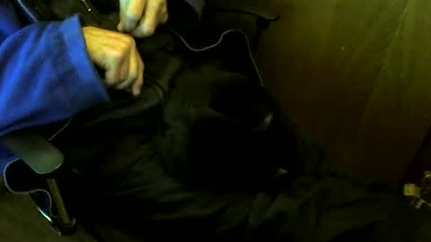 muller520 online show from March 10, 4:11 pm