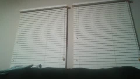 vienna online show from January 20, 12:36 am