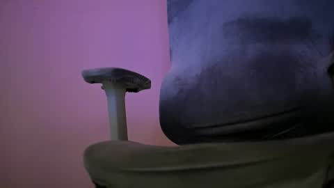 Nykor online show from April 26, 10:46 am