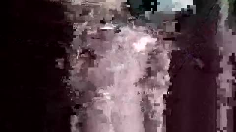 nakedbear108 online show from March 1, 1:21 am