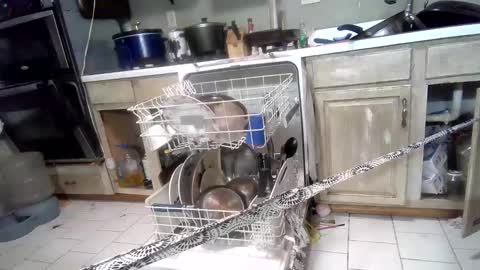 nakednate1780 online show from March 3, 7:32 am