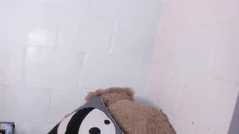 nala_sc online show from June 3, 7:44 am
