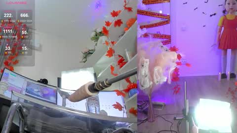 INSTAGRAM     bekkercat  online show from November 4, 12:06 pm