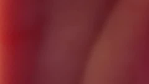 Nancy and Archi online show from December 12, 7:52 am