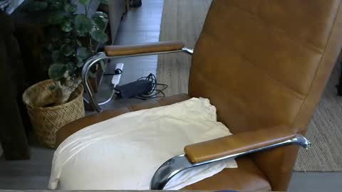 nareth338 online show from October 3, 3:53 pm