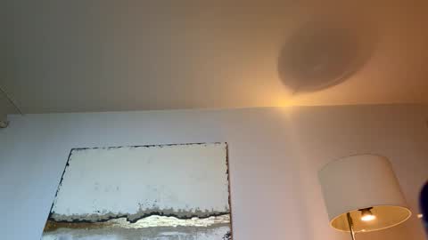 nassobout online show from October 25, 1:50 am