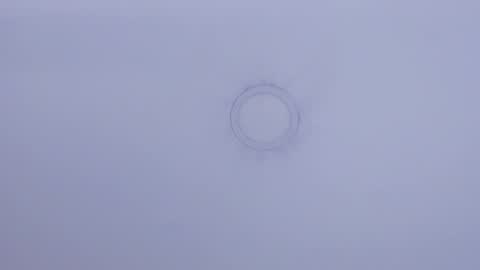 Snapshot of nastasha_nasty1 chatting on February 3, 6:28 pm Maira online show from February 3, 6:28 pm