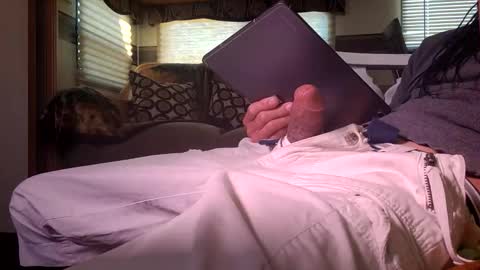 Haven online show from February 4, 5:06 pm