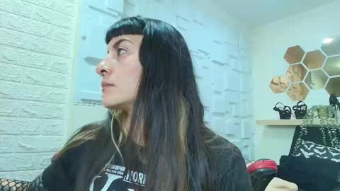 Kitten online show from November 20, 11:53 am