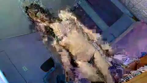 kathy online show from September 12, 1:40 am