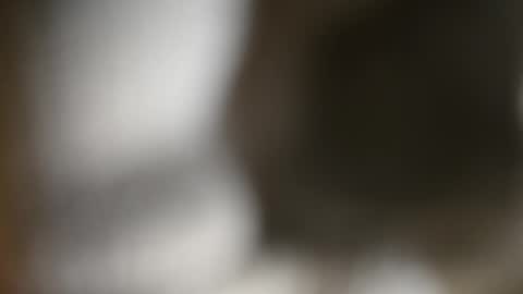 Liz online show from December 8, 12:08 pm