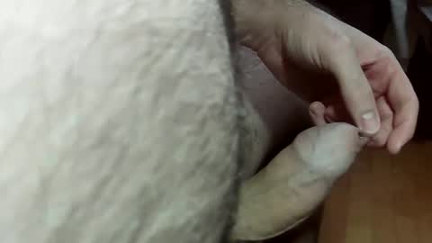 ncbncb online show from January 12, 10:12 pm