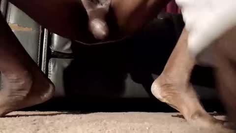 nceblkdk online show from December 2, 5:26 am